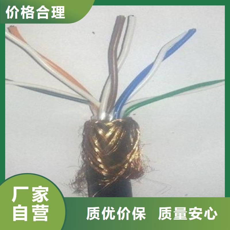 計算機(jī)電纜-信號電纜按需定制真材實料