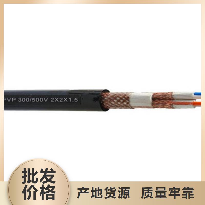 計算機屏蔽電纜DJVP3VR直供廠家