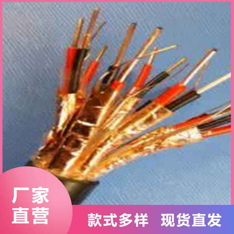 鎧裝計(jì)算機(jī)電纜DJVP2VP2-22-為您服務(wù)