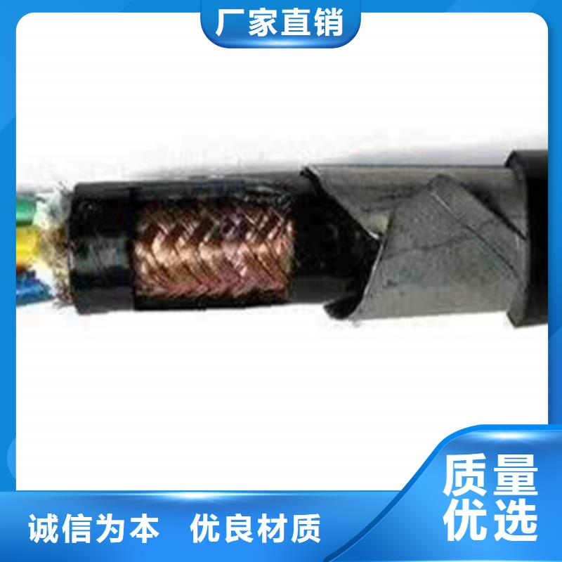 DJVP3VP3-22鎧裝計算機電纜30X2X0.75