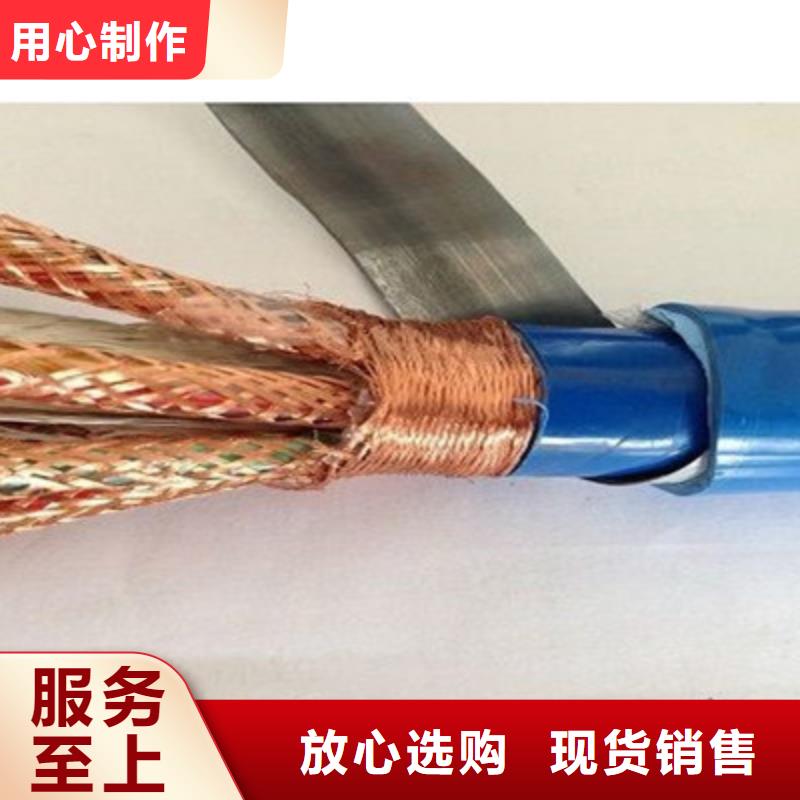 計算機電纜電纜生產廠家來圖加工定制