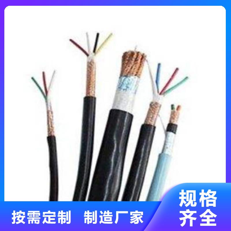 計算機電纜-屏蔽電纜一致好評產品