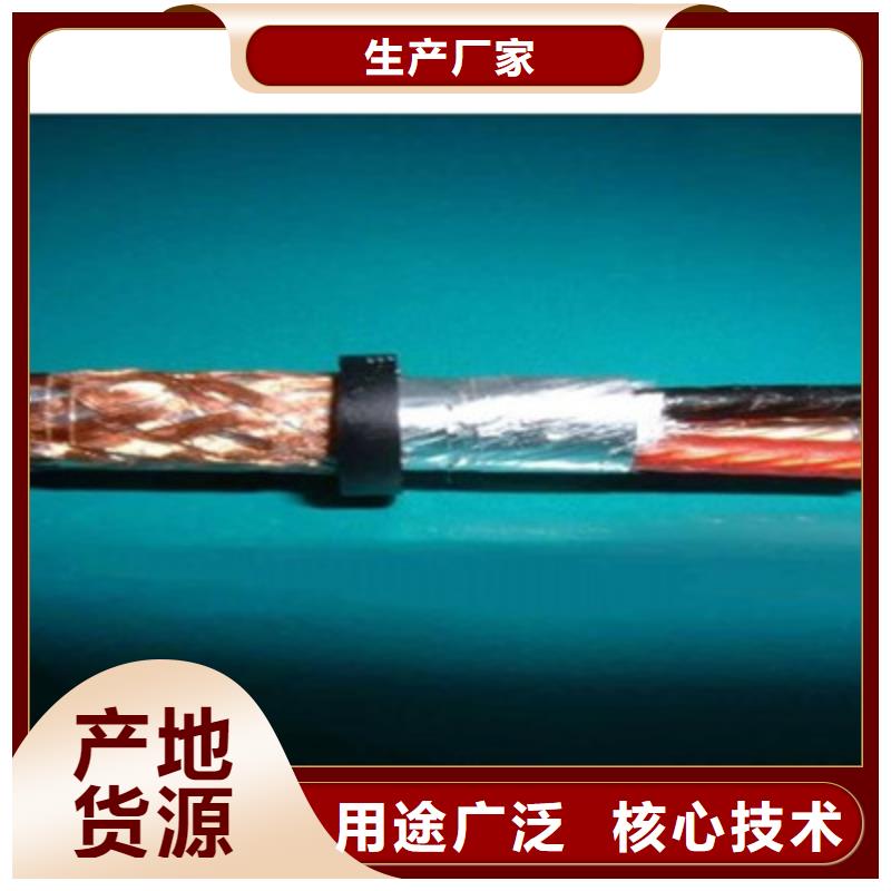 NH-DJYJPVR耐火計算機電纜24X2X0.75