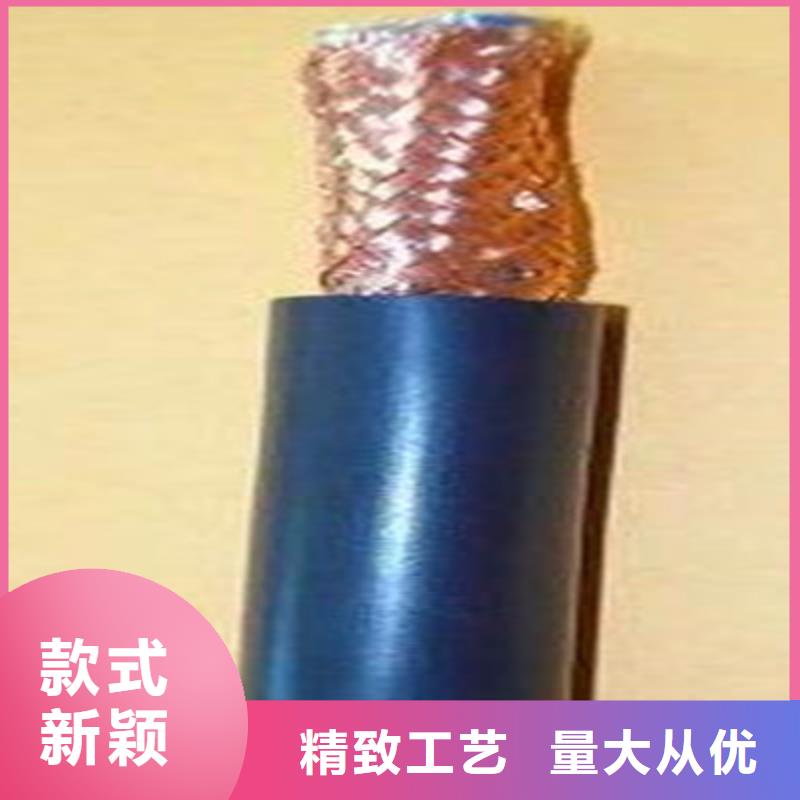 計算機(jī)電纜【屏蔽電纜】每個細(xì)節(jié)都嚴(yán)格把關(guān)