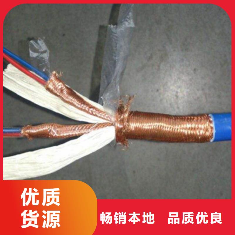計算機屏蔽電纜HBIYP2YVZ-III優質商家