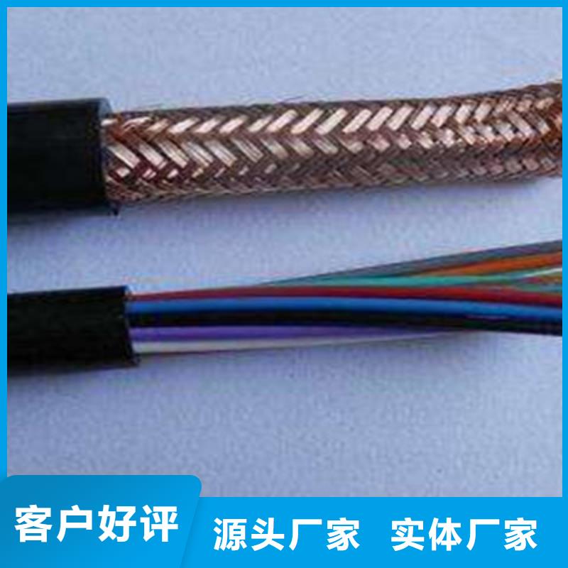 鎧裝計(jì)算機(jī)電纜DJVP2VP2-22-為您服務(wù)