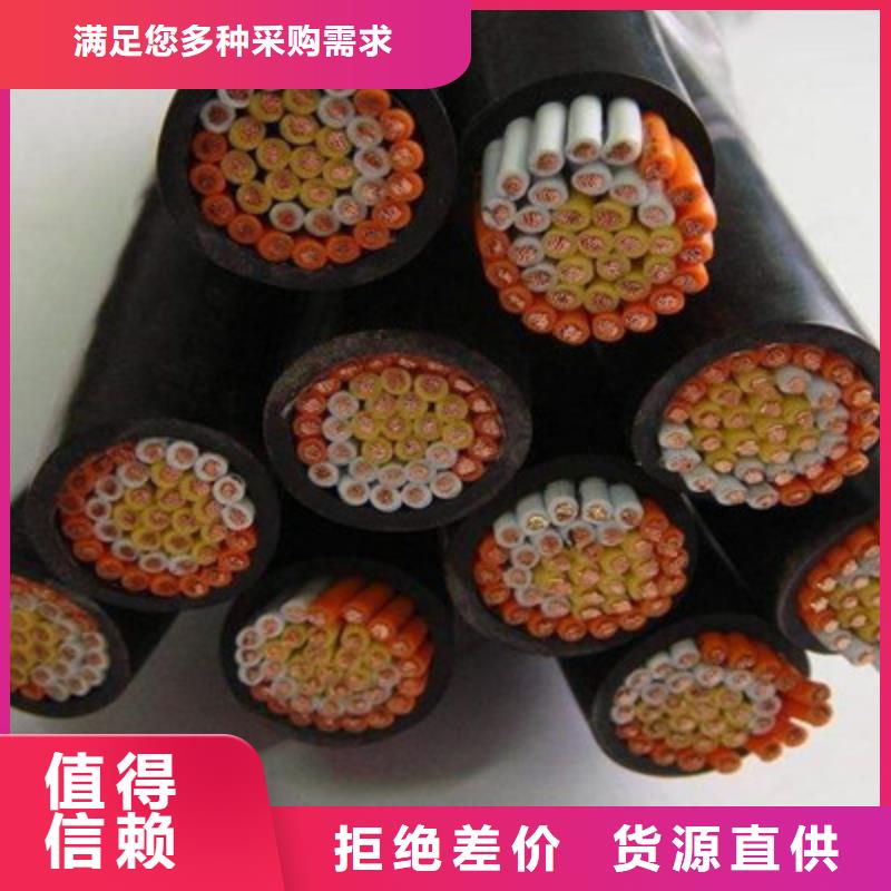 ZR-RYSPVP阻燃計算機電纜質量為本