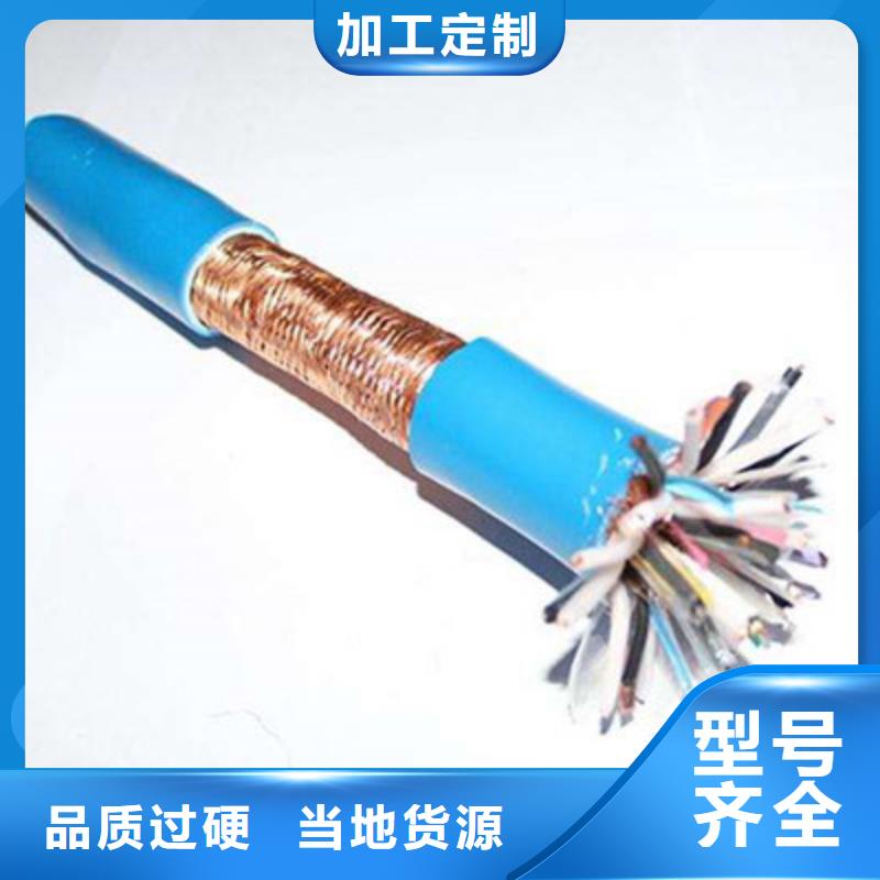 鎧裝計(jì)算機(jī)電纜DJVP2VP2-22-為您服務(wù)