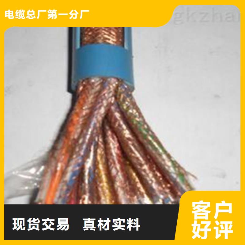 WDZ-DJYP2VR低煙無鹵計算機(jī)電纜廠家，質(zhì)優(yōu)