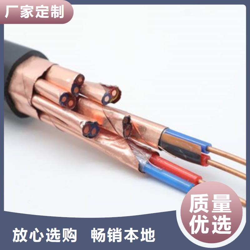 【計算機電纜】屏蔽電纜客戶信賴的廠家