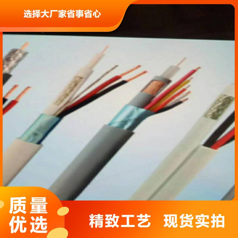阻燃計算機電纜ZR-DJVPVP227X2X2.5