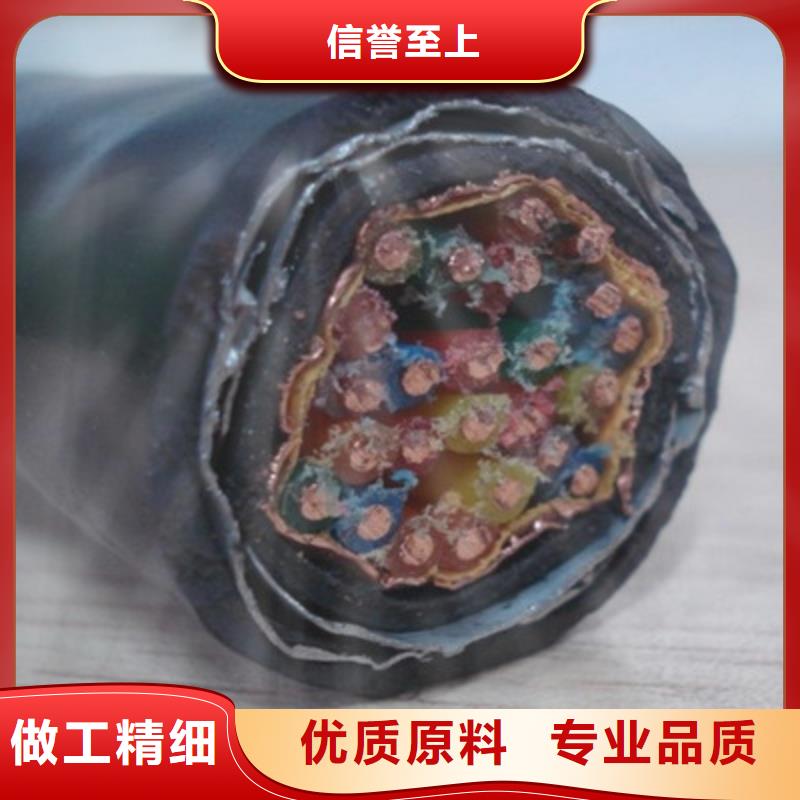 計算機屏蔽電纜ZA-105制造工廠