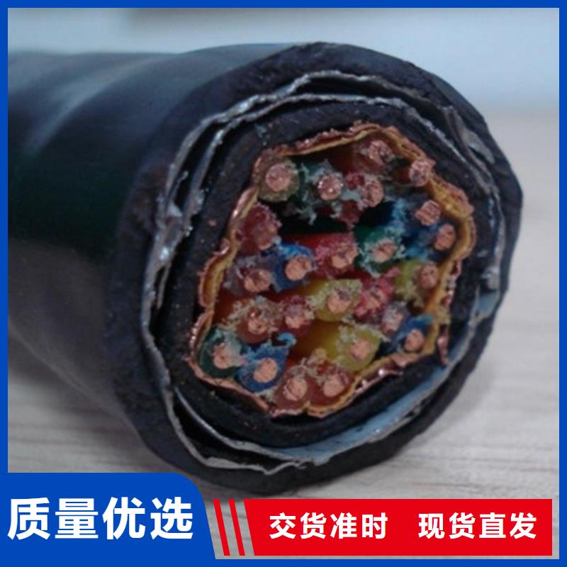 鎧裝計(jì)算機(jī)電纜DJYPCV7X2X0.75