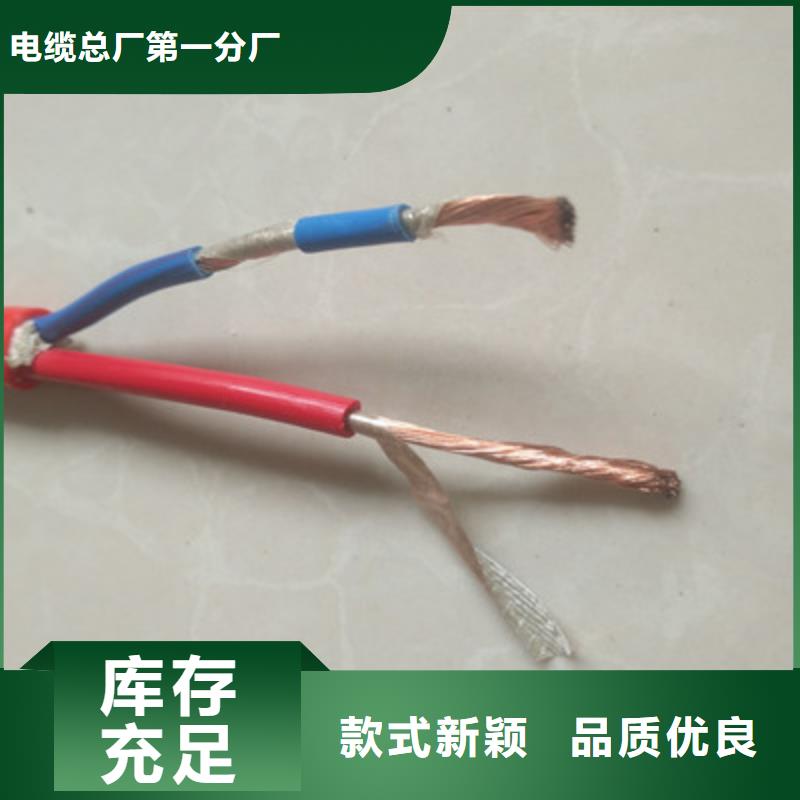 阻燃計算機電纜ZR-DJVPVP227X2X2.5