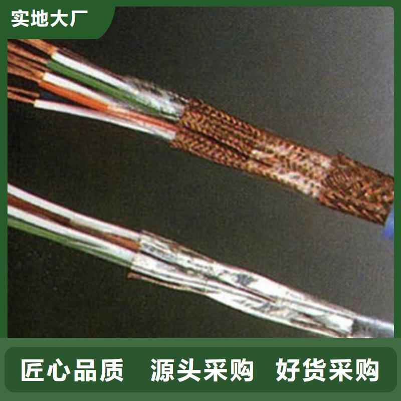優(yōu)質(zhì)計(jì)算機(jī)屏蔽電纜DJVVP3-22