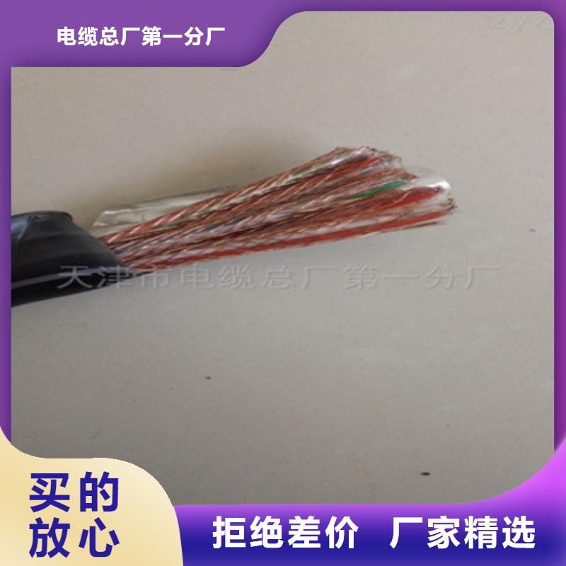 靠譜的ZRC-JVPV-2A鎧裝計(jì)算機(jī)電纜供貨商
