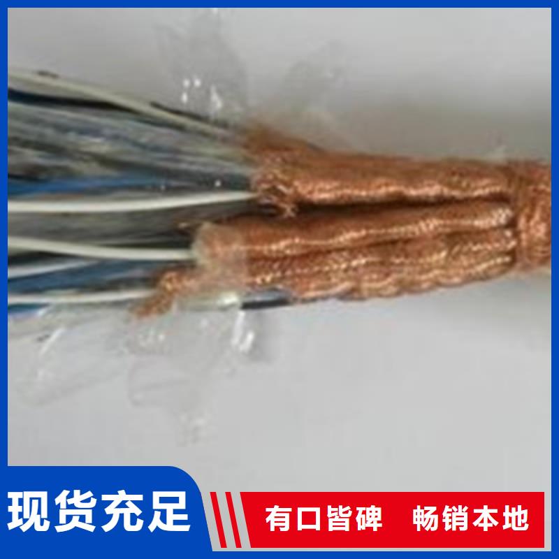 低煙無鹵計算機電纜WDZ-DJVP1V-TR5X2X1.5