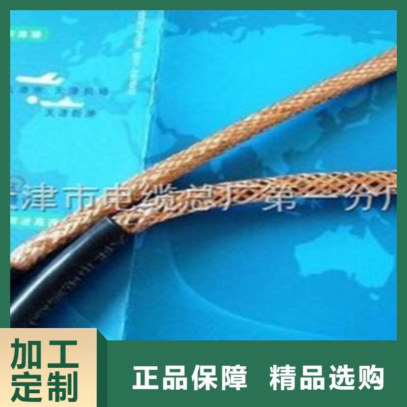 專業銷售耐火計算機電纜NH-DJYJVPR-現貨供應