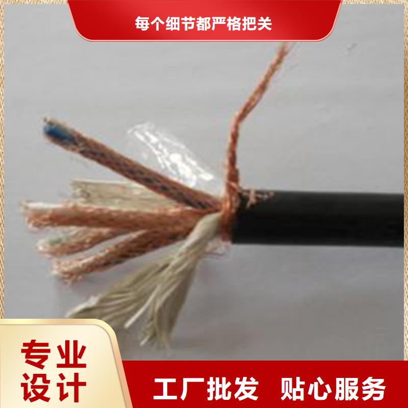 計算機屏蔽電纜DJVVP3-22承接
