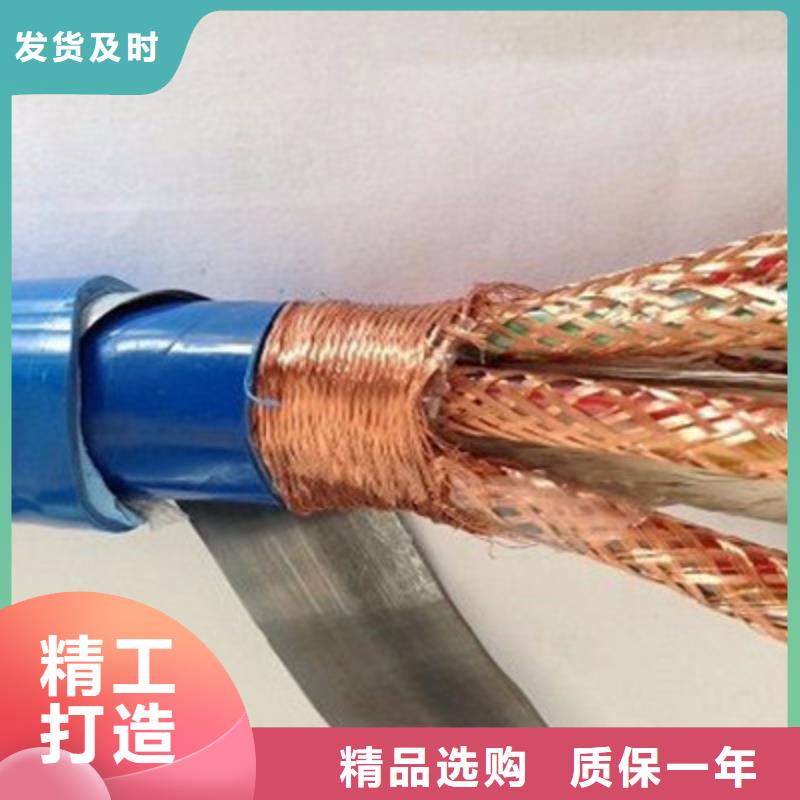 優(yōu)質(zhì)計(jì)算機(jī)屏蔽電纜DJVVP3-22