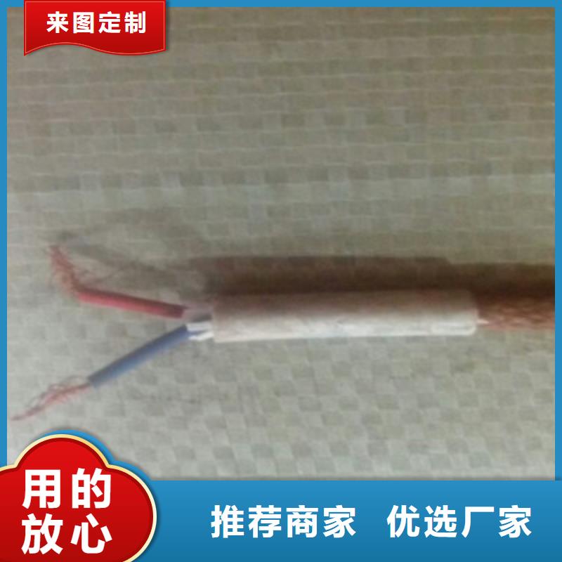 重信譽NH-SWAOS耐火計算機電纜供應廠家