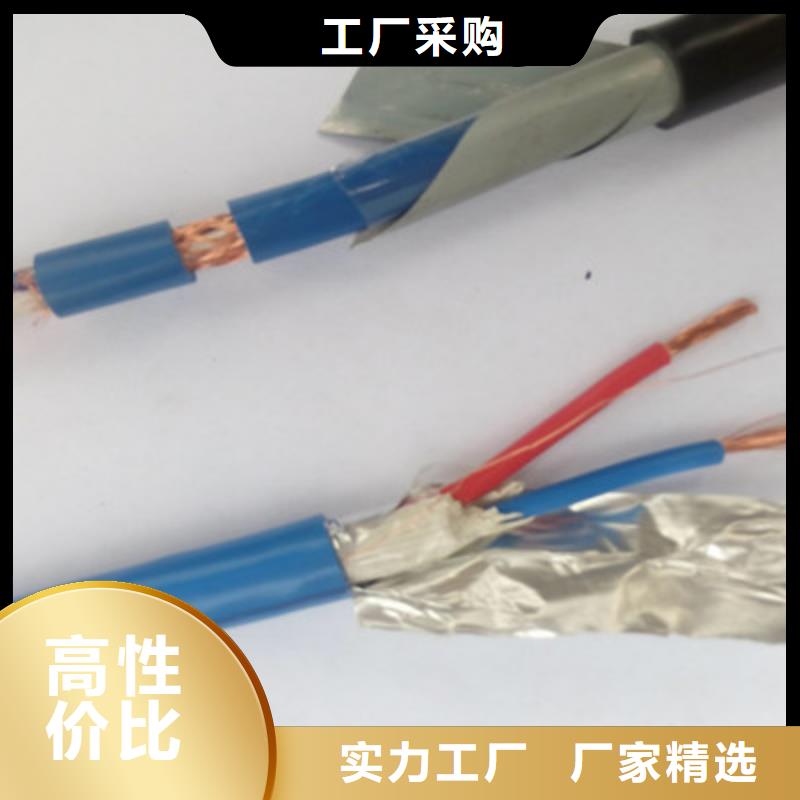 鎧裝計(jì)算機(jī)電纜DJYJP2V直供廠家