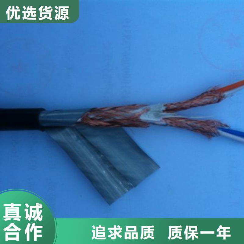 專業(yè)銷售耐火計算機(jī)電纜NH-DJYJVPR-現(xiàn)貨供應(yīng)
