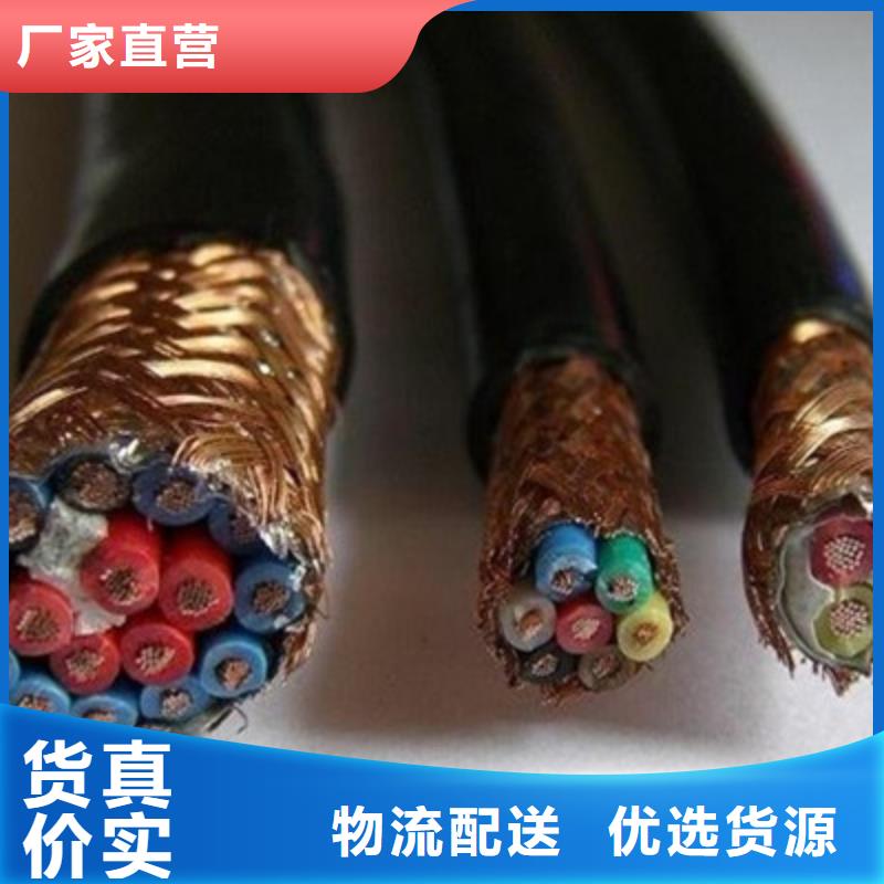 NH-DJYJPVR耐火計算機電纜24X2X0.75
