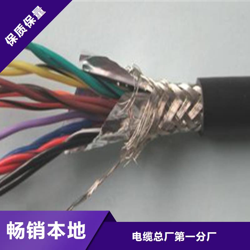 計算機電纜_屏蔽電纜用心做品質