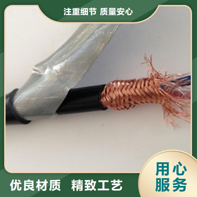 計(jì)算機(jī)電纜【信號(hào)電纜】廠家貨源穩(wěn)定