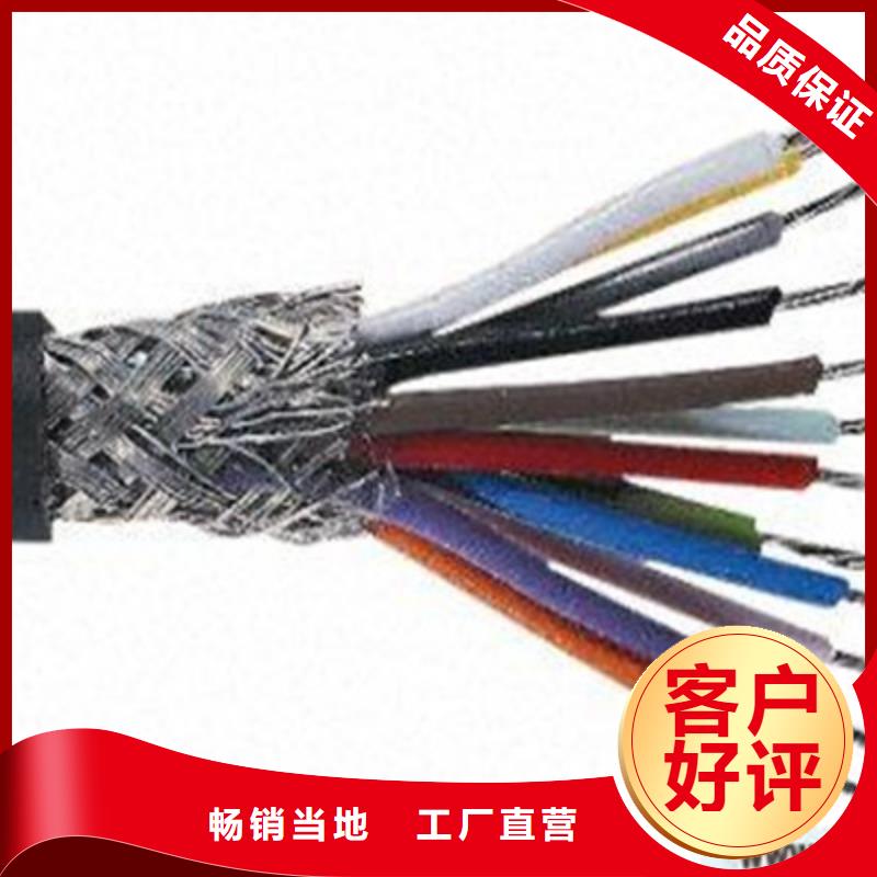 ZR-DJYJP3VP3R阻燃計算機電纜30X2X0.75