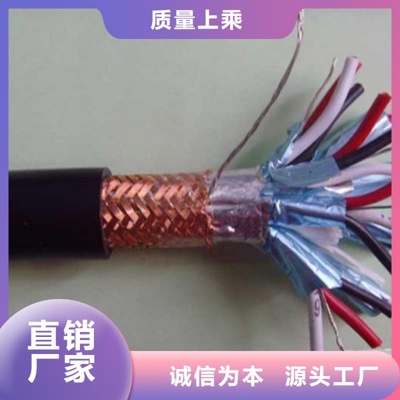 計(jì)算機(jī)電纜【信號(hào)電纜】廠家貨源穩(wěn)定