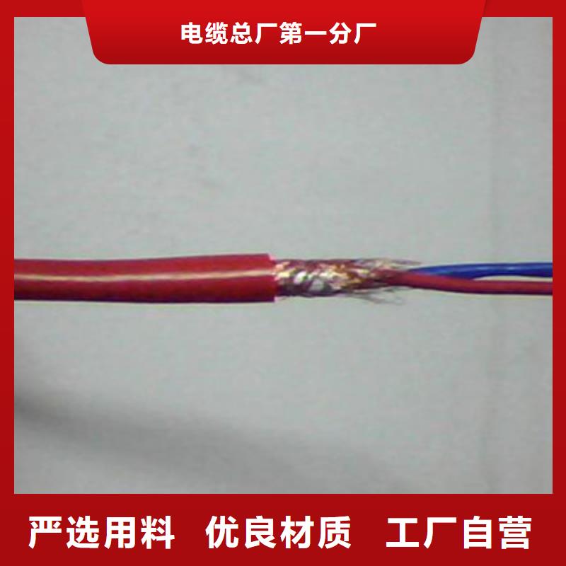 計算機屏蔽電纜DJVVP3-22承接