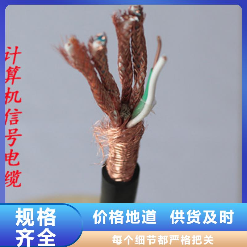 計(jì)算機(jī)電纜【信號(hào)電纜】廠家貨源穩(wěn)定
