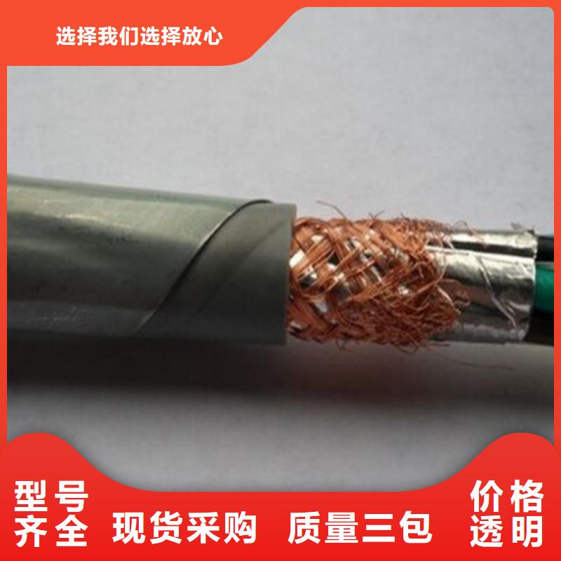專業銷售耐火計算機電纜NH-DJYJVPR-現貨供應