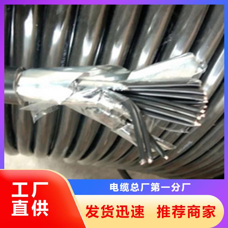 消防信號線KVVSP4X2.5價格低