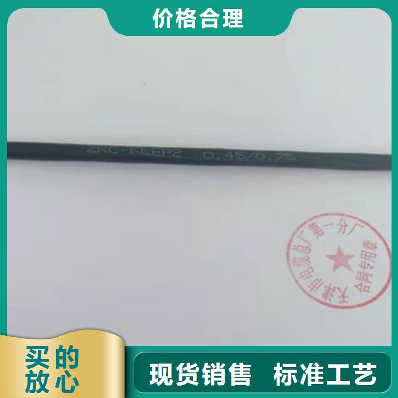 控制電纜通信電纜好品質選我們