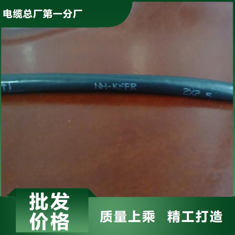 【控制電纜信號電纜質量為本】