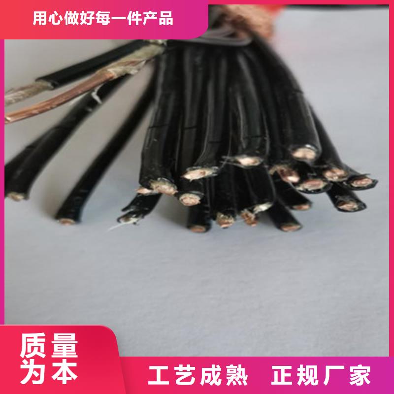 ZR-KVVP22阻燃鎧裝屏蔽控制電纜特價銷售
