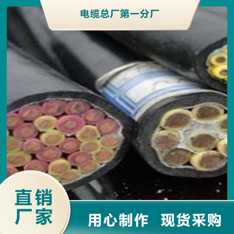【控制電纜】-屏蔽電纜品牌專營