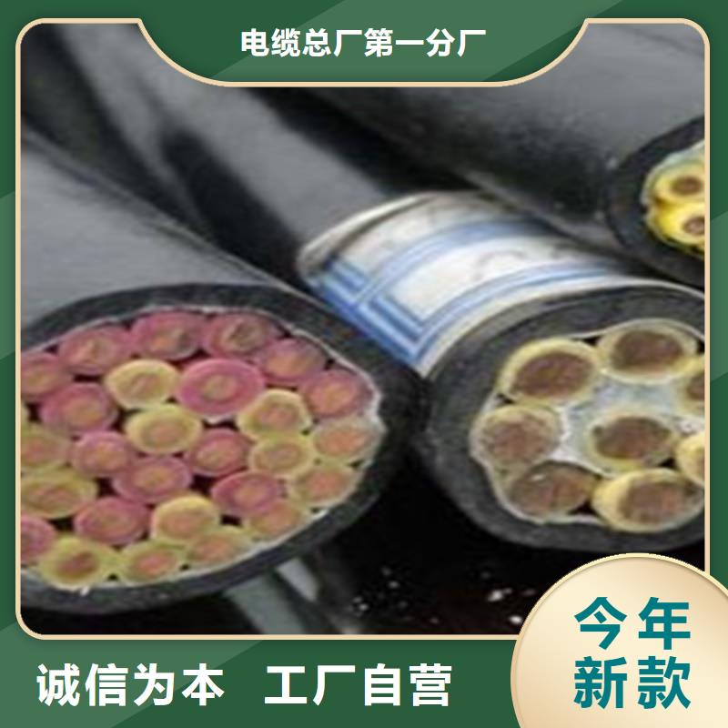 控制電纜【屏蔽電纜】出貨及時(shí)