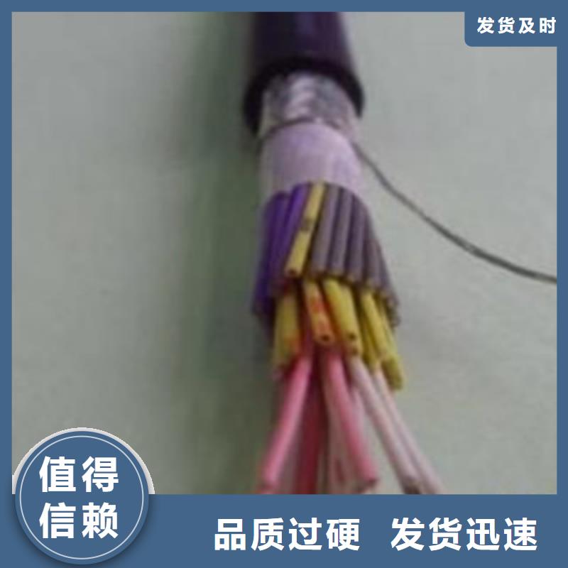 阻燃耐高溫控制電纜ZB-HTKFV19X1.0價格實惠