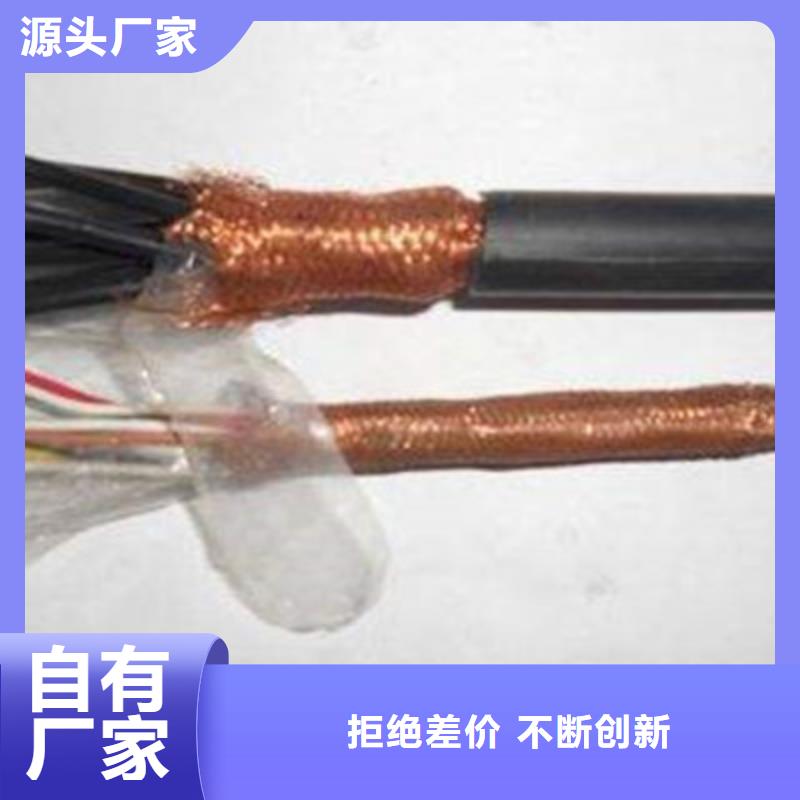 耐高溫電纜信號電纜實地大廠