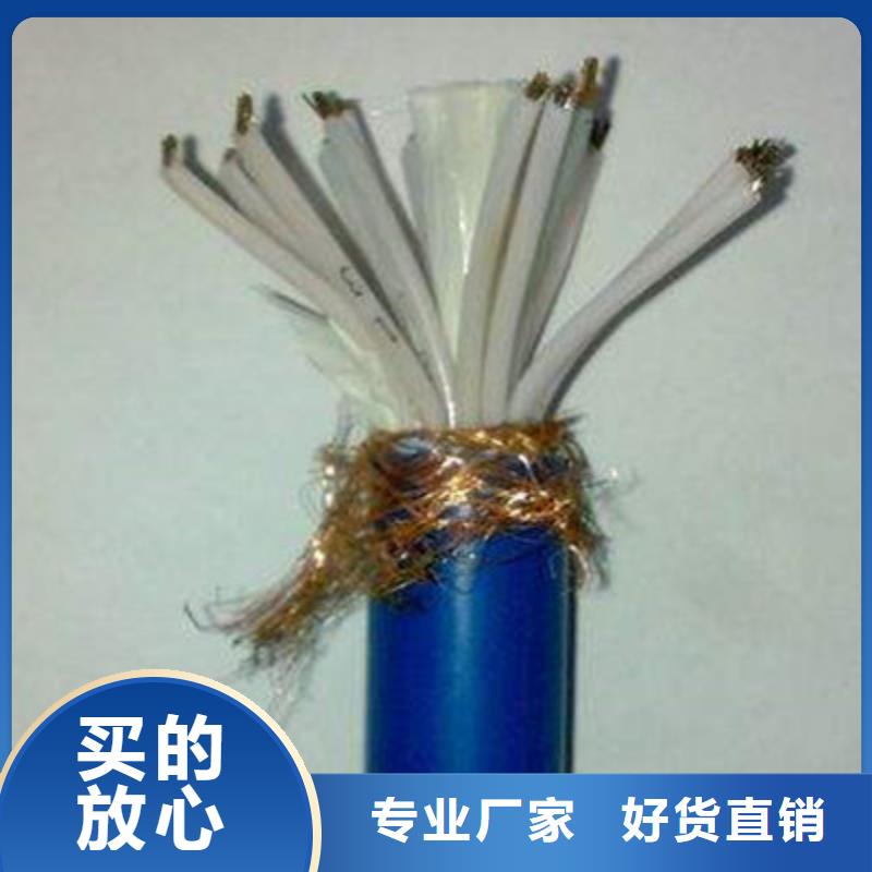 【耐高溫電纜電纜生產廠家源頭廠源頭貨】