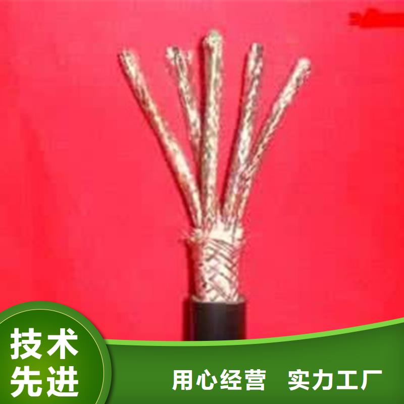 DJFVP2耐高溫計(jì)算機(jī)電纜4X2X1.0