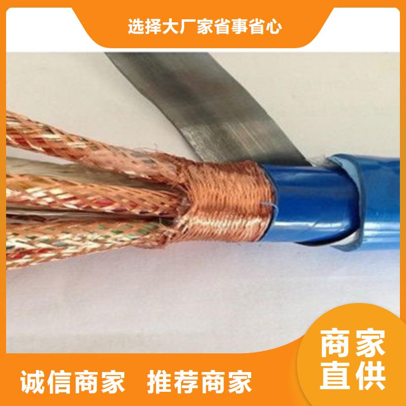 耐高溫電纜屏蔽電纜滿足客戶需求
