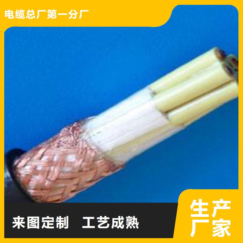 耐高溫電纜信號電纜實地大廠