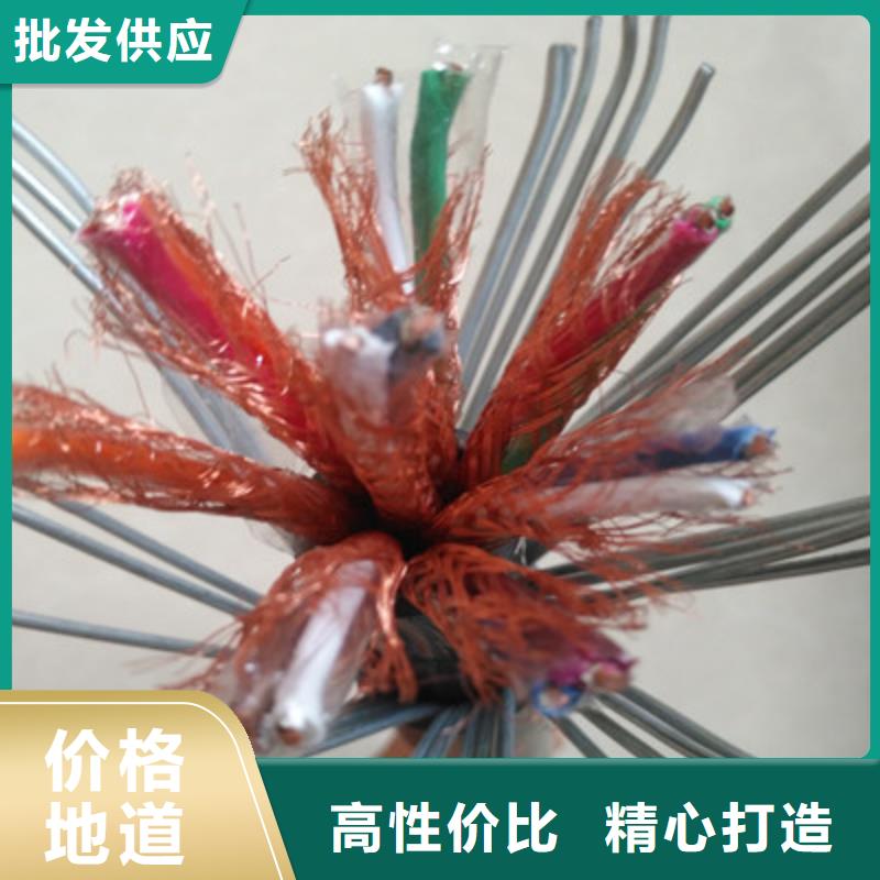 DJFVP2耐高溫計(jì)算機(jī)電纜4X2X1.0