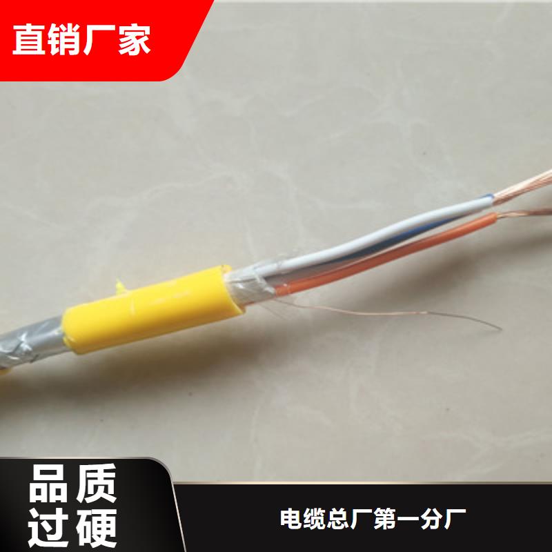 耐高溫電纜DJFP2屏蔽型零售