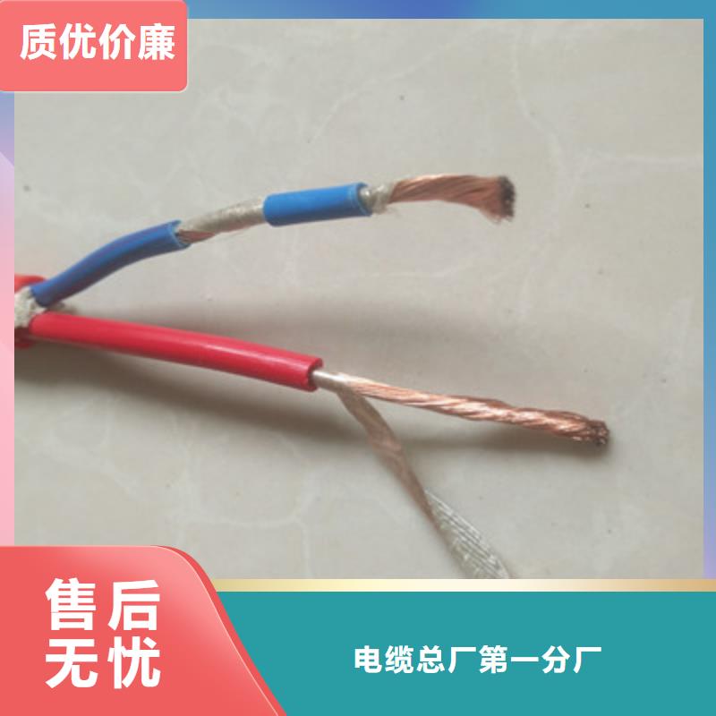 DJFVP2耐高溫計(jì)算機(jī)電纜8X2X1.5